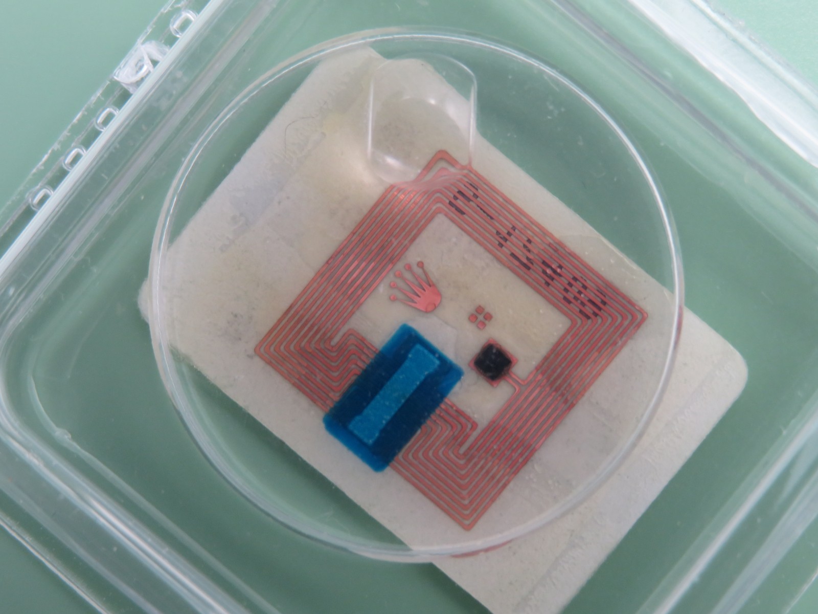 Rolex Date Acrylic Crystal B25-145-J1 Genuine NOS Part – Ref: 15000 15050 15505