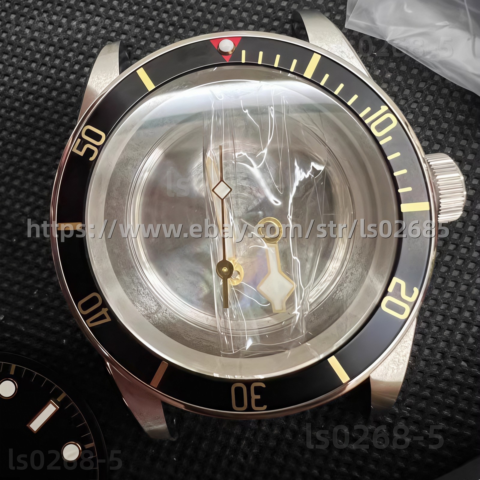 DIY SET for 41MM 2824 Watch Case + Dial + Hands + Strap