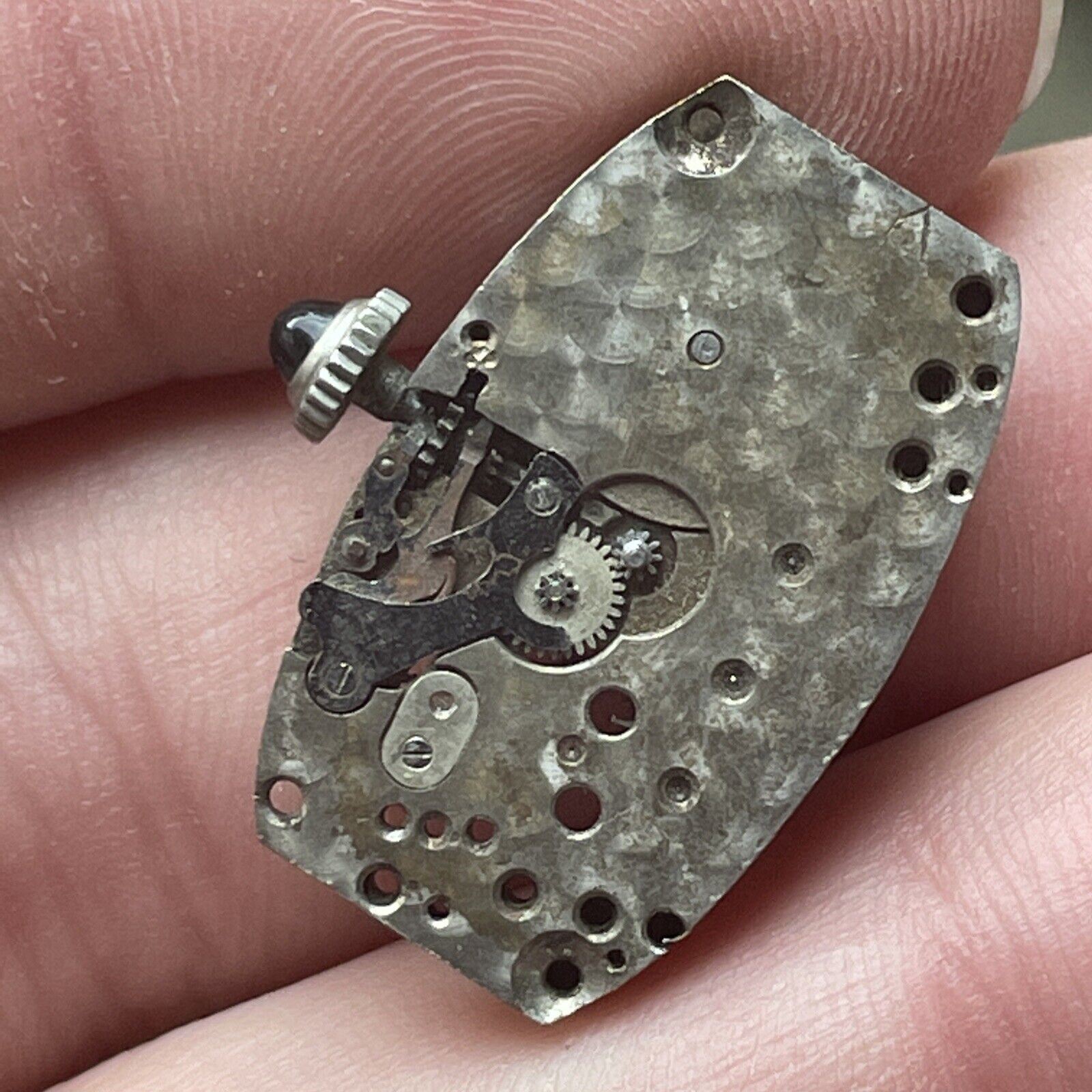 VTG Warwick Watch Co. 17 Jewel Swiss Movement
