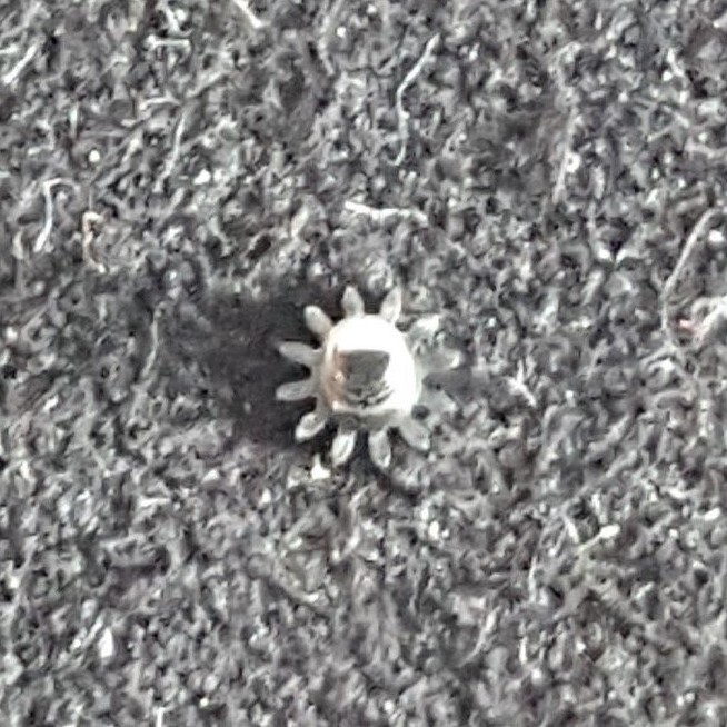 Longines Caliber 370 Part Number 240 (Canon Pinion)