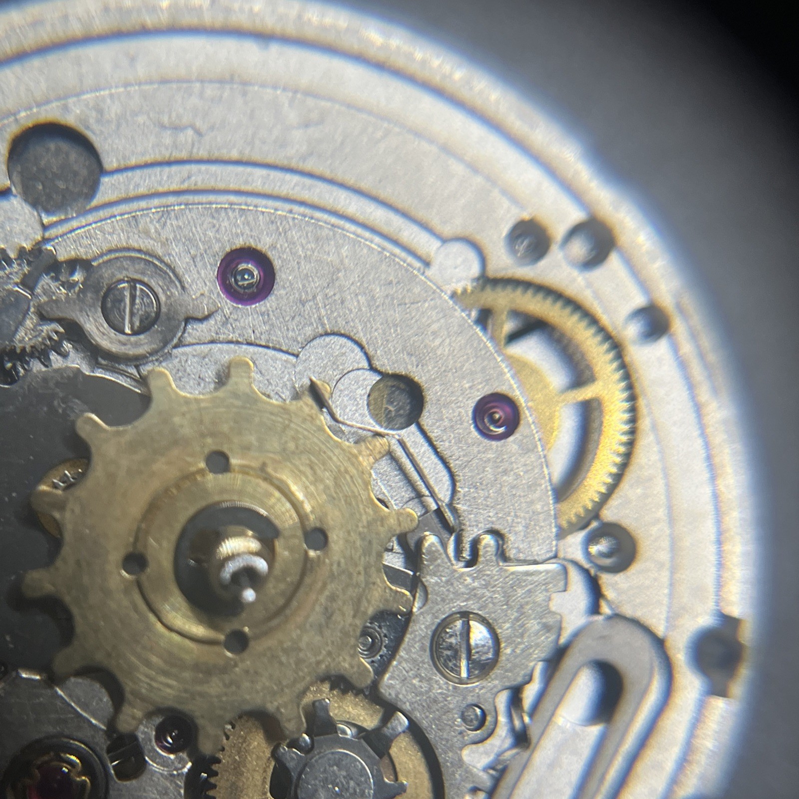 ETA Cal. 2834-2 Movement (015)