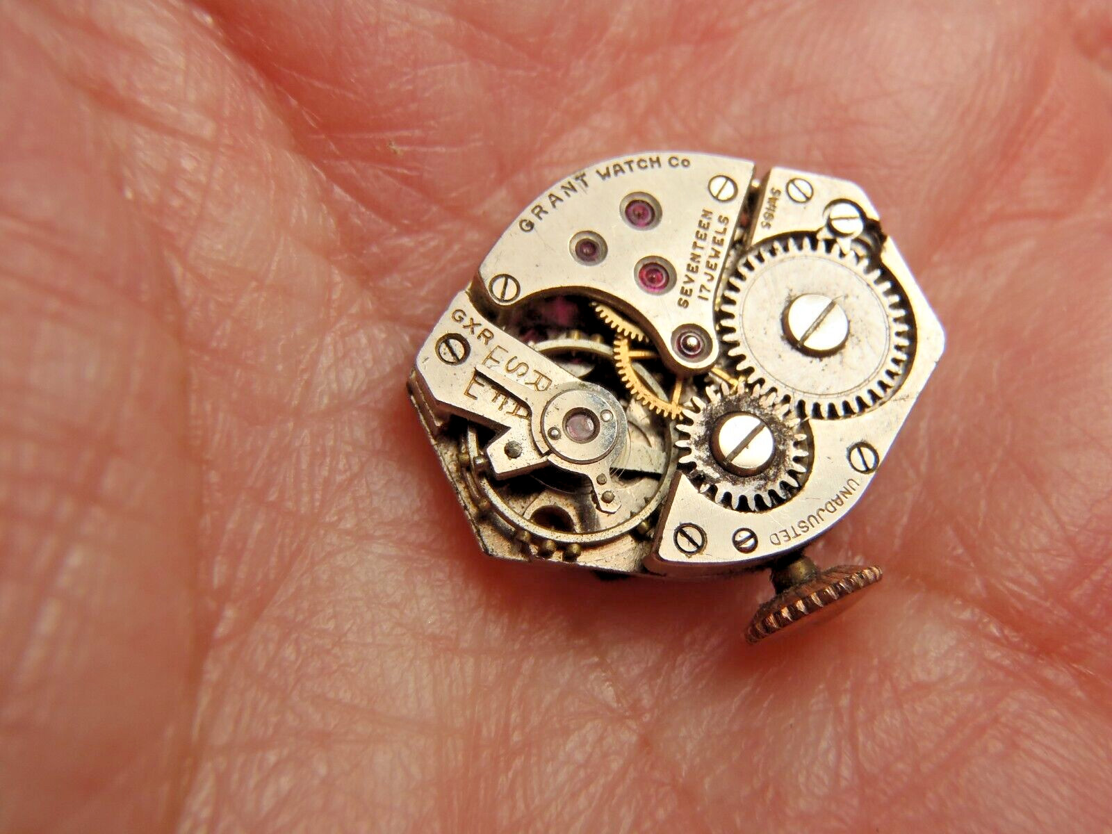 Grant GXR Watch Movement Dial Hands Stem Crown 17 Jewel Balance Rotates