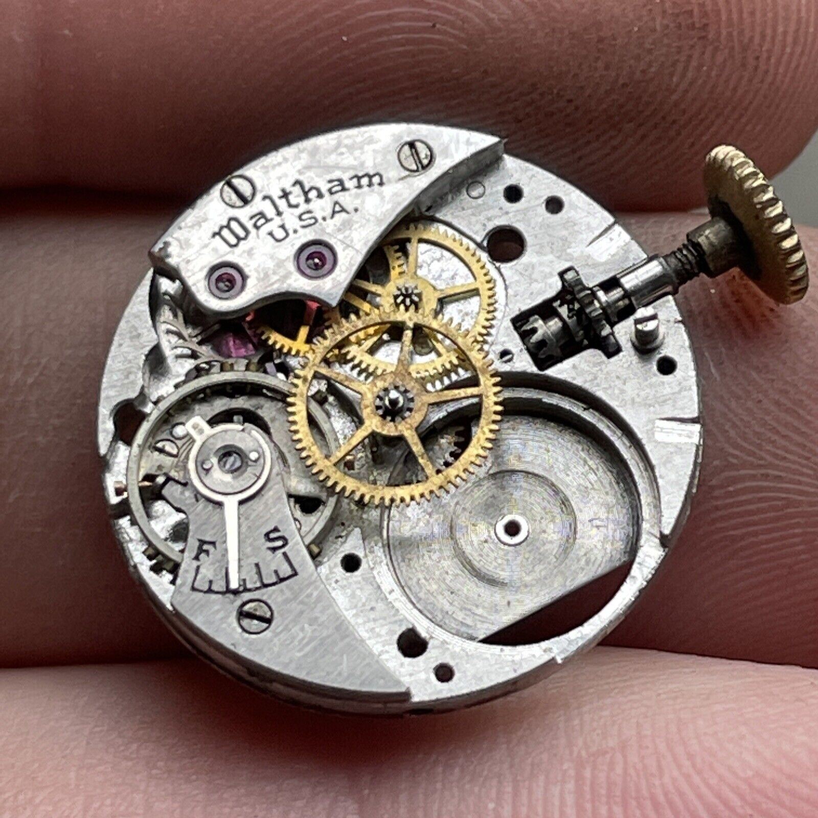 Vintage Waltham Watch Co. Movement.