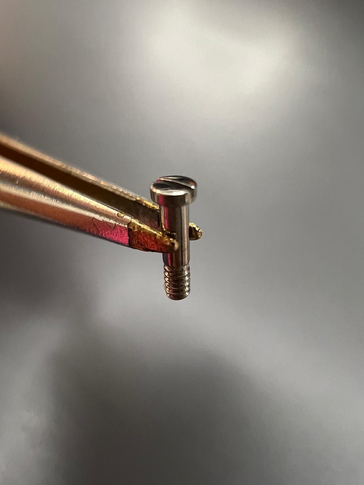 Original Screw For Cartier Roadster Case Back – Bottom Screw MX000Q5P