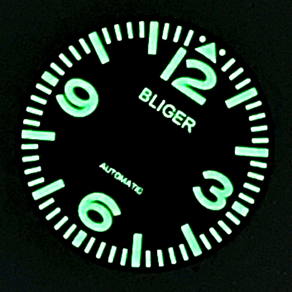29mm Watch Dial White Marks Green Luminous Fit NH35 NH36 Miyota82 Series DG2813