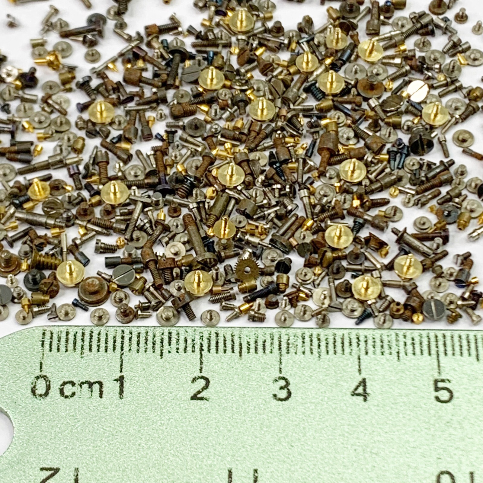 100 Watch Screws Pocket Wrist Silver Blue Gold Parts Watchmaker Repair Job Lot