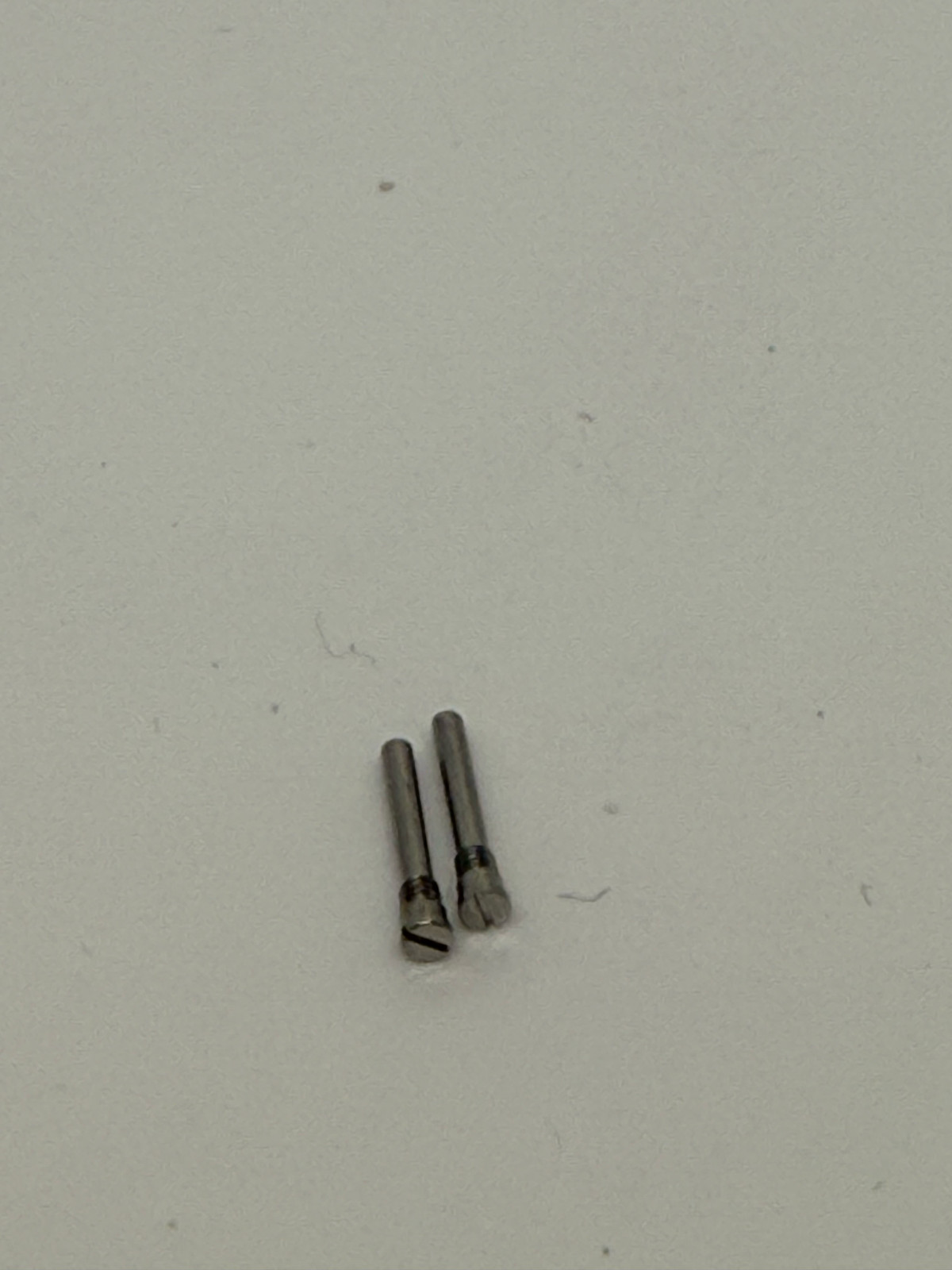 Audemars Piguet Royal Oak Offshore 28mm Watch Case End Link Screws Stainless
