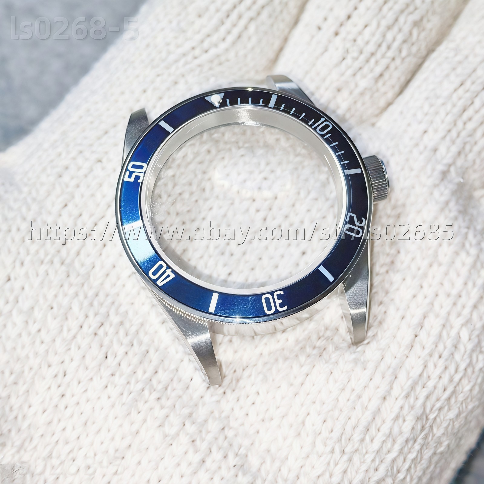 DIY SET for 41MM 2824 Watch Case + Dial + Hands + Strap