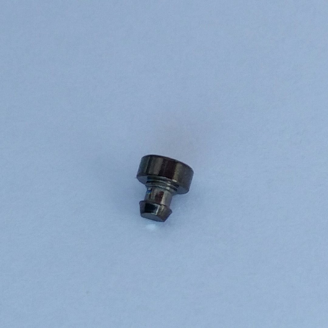 CASIO GW-7900 GW-7900KG-3 GW-7900MS-3 GW-7900NV 1 Piece Decorative (Bezel) Screw