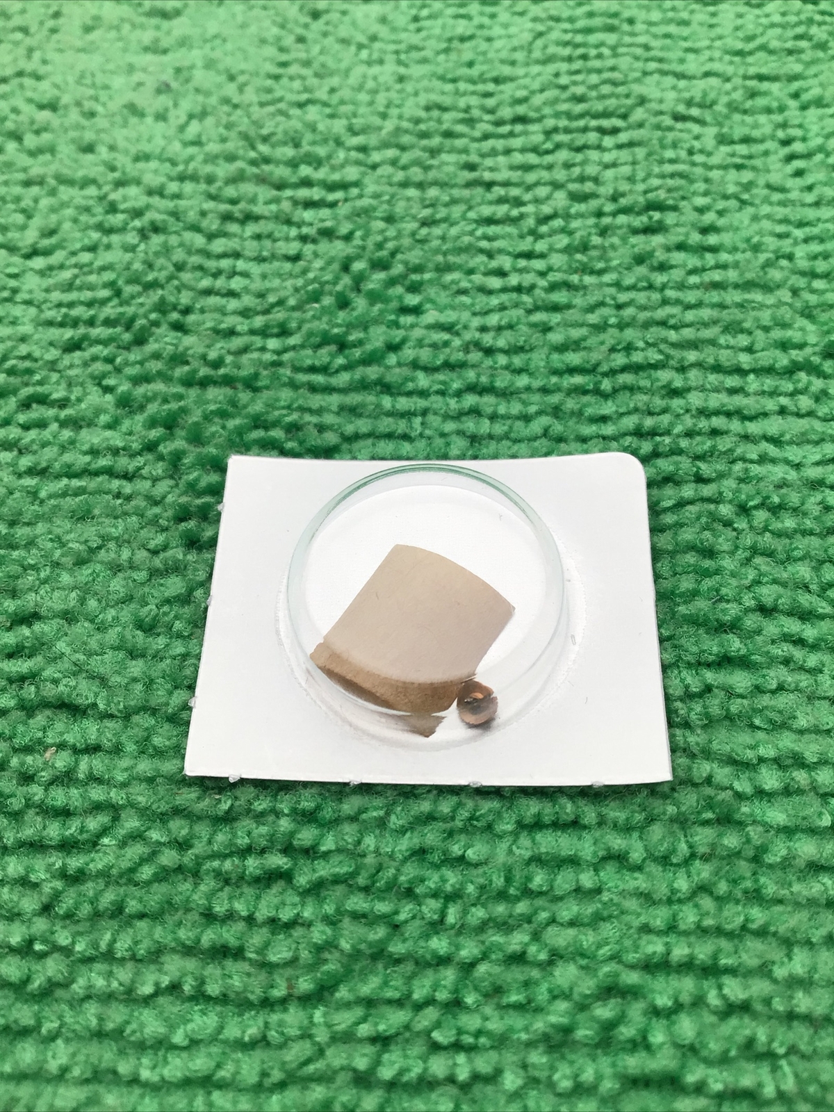 Seiko Rotor 4146-561 Watch Part