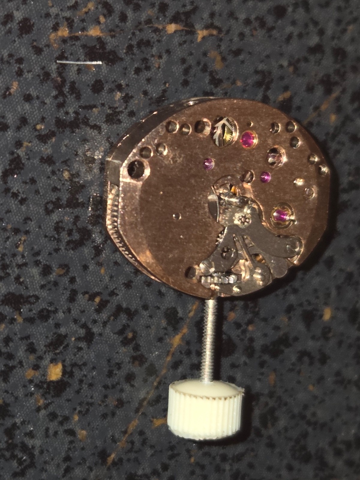 FEF 6620 Ladies Watch Movement. Swiss, 17 J. Runs.