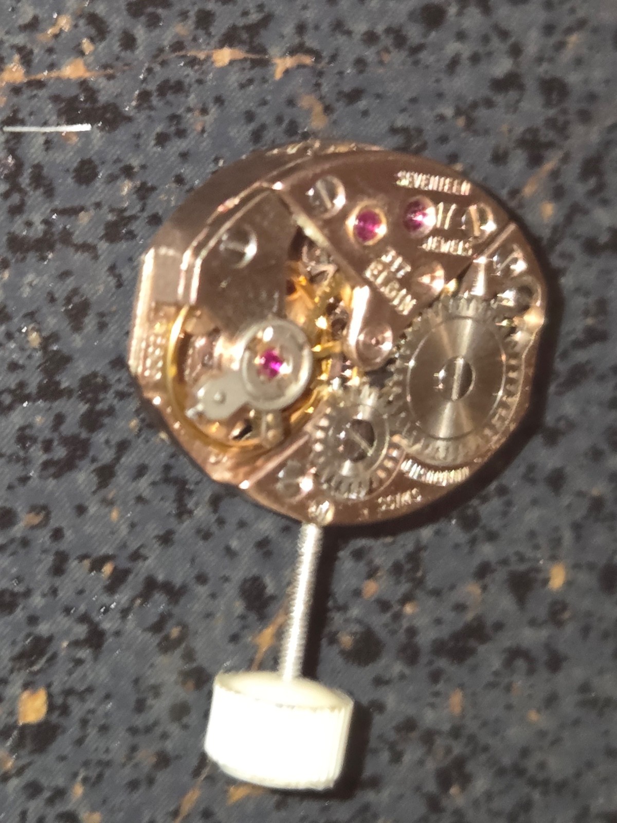 FEF 6620 Ladies Watch Movement. Swiss, 17 J. Runs.