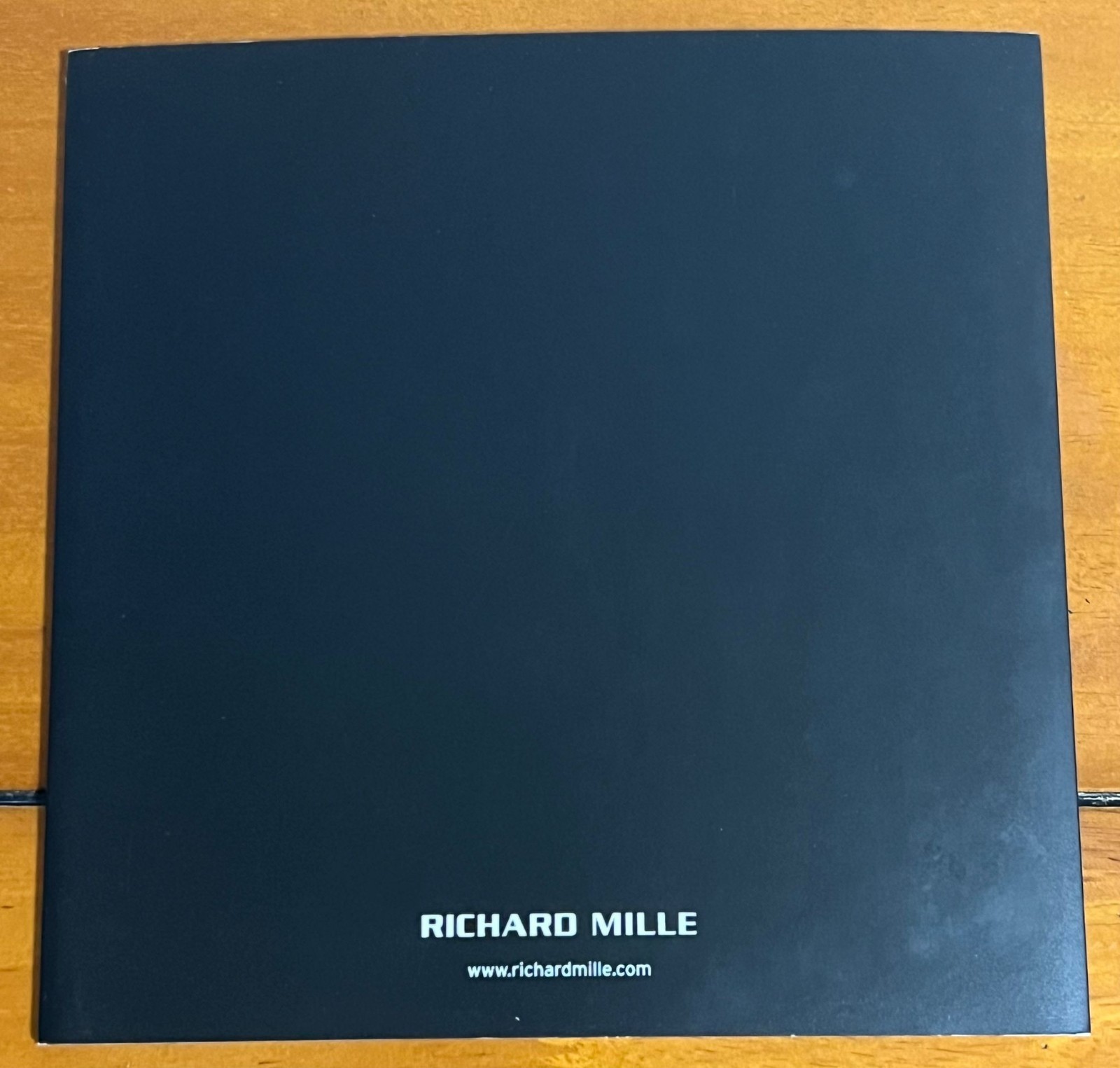 RARE Richard Mille RM029 Boutique Exclusive Technical Specification Leaflet