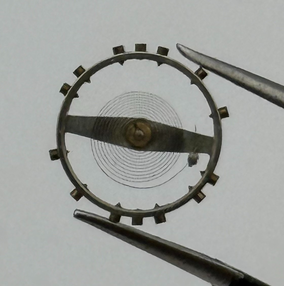 Arogno 120 Balance Wheel Complete And Spring 14 M Watch Movement Parts NOS