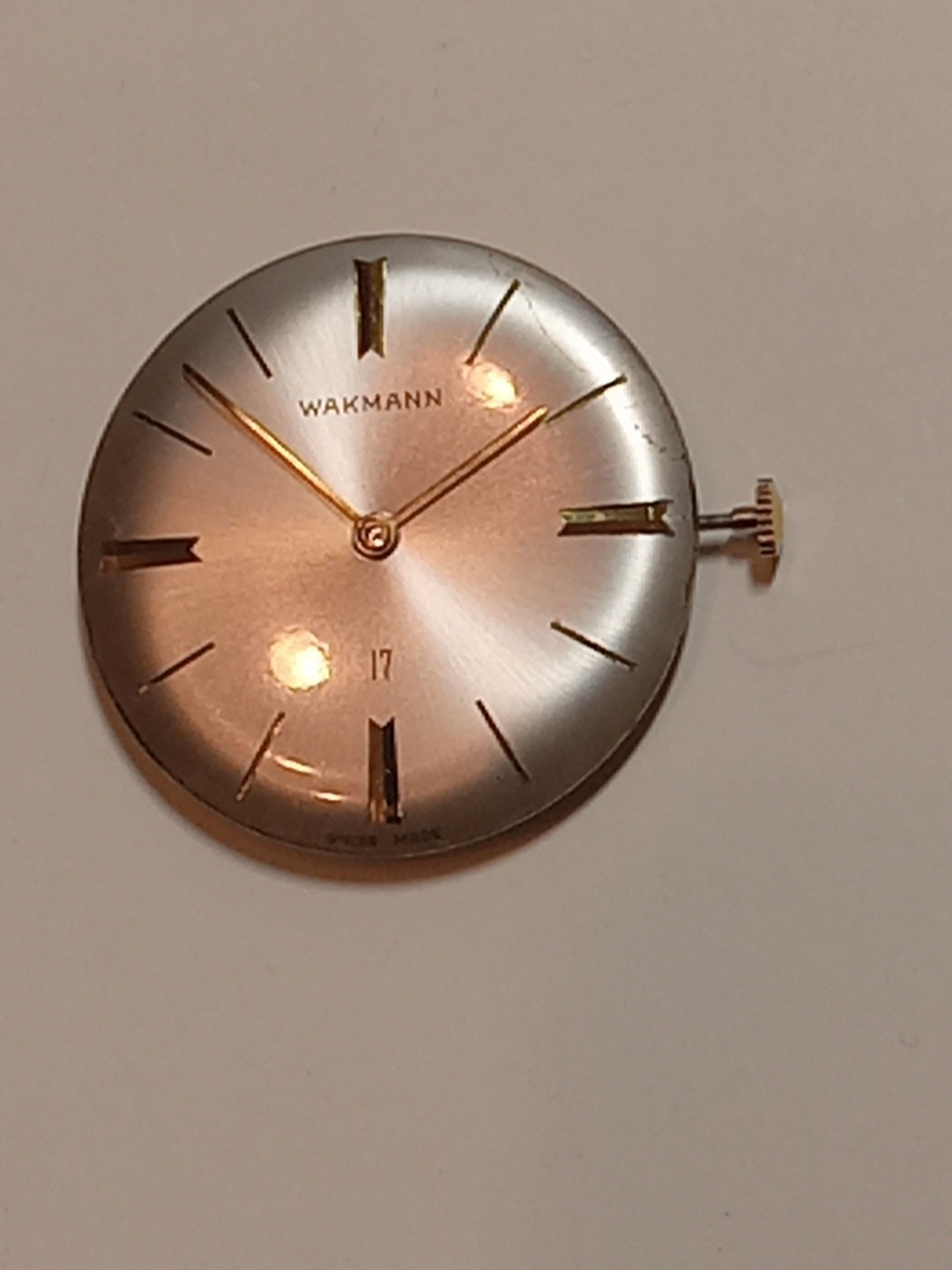 wakmann watch Movement 17 Jewels Swiss Mens Watch Mnual