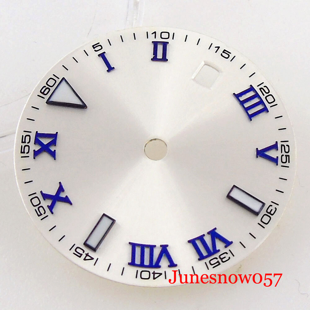 Silver Watch Dial Roman Numbers Lume 29MM Fit NH35 MIYOTA ETA2824 Movement Men’s