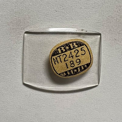 ELGIN : 5504 AND ILLINOIS – Tonneau 24.2mm x 18.9mm
