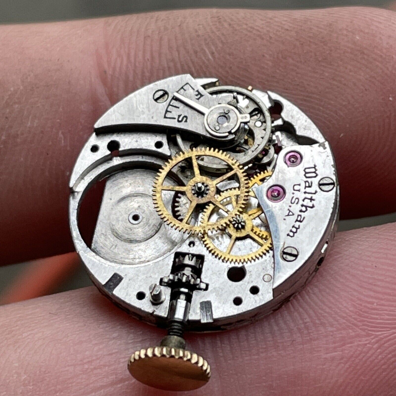 Vintage Waltham Watch Co. Movement.