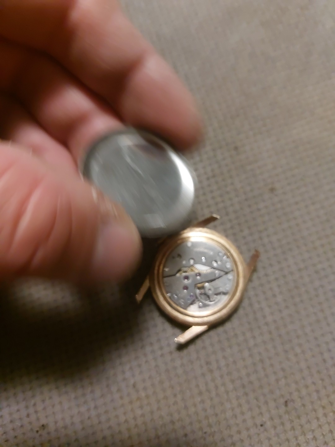 Sonic anchre ag ruby automatic movement watch