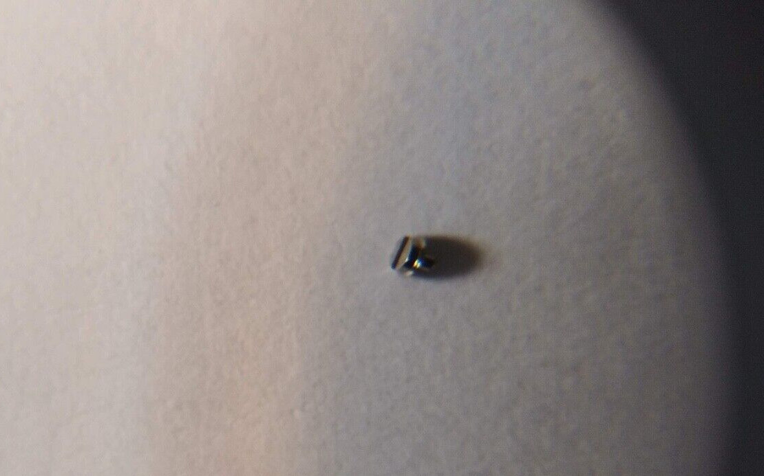 ETA 2892-2 screw (TWO PER ORDER) for watch repair