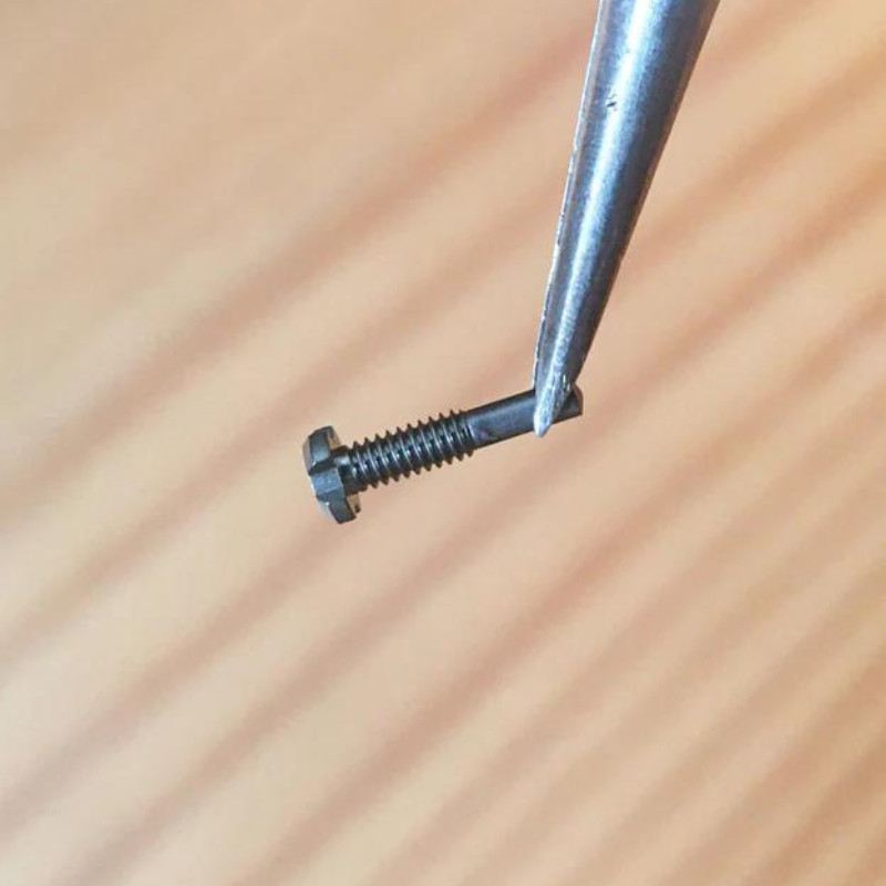 1pcs Titanium 4 Prongs Watch Screw Fits Richard Mille RM005 RM010 07 Band/Bezel