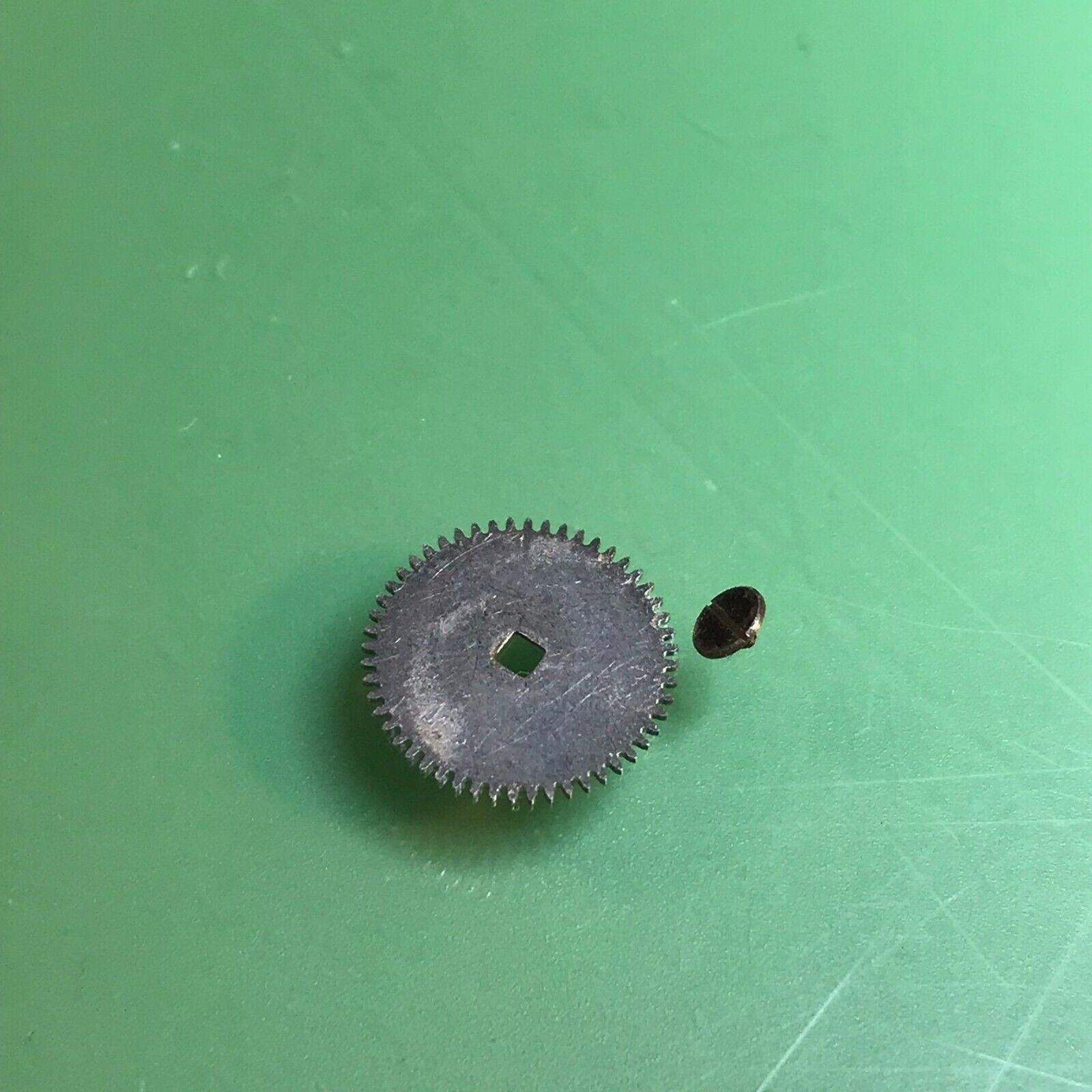 Ratchet Wheel Belforte 11N 1B Original Watch Part 3D4-183