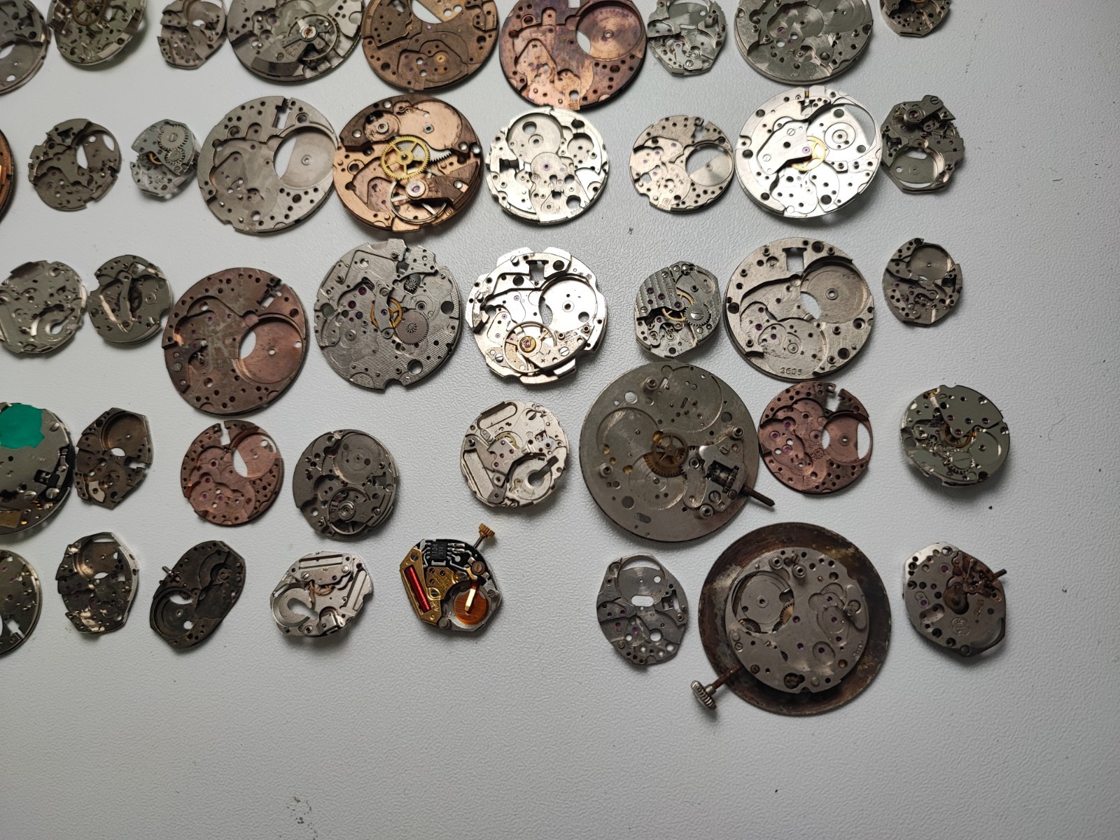 mix Watch Main Plate platinum lot watchmaker brac as fef fe int bfg ut gub ot…