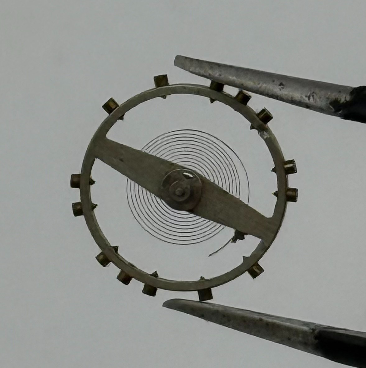 Arogno 120 Balance Wheel Complete And Spring 14 M Watch Movement Parts NOS