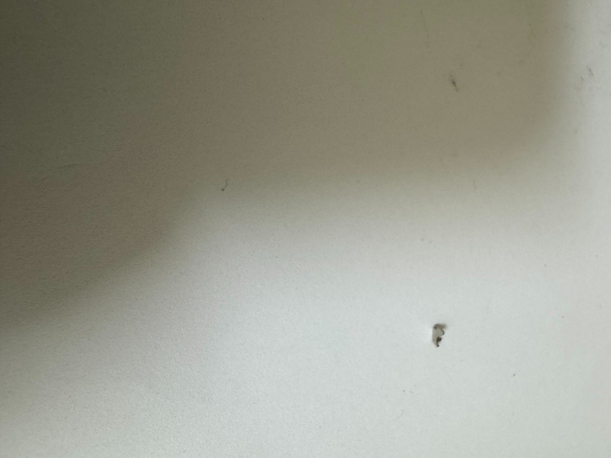GENUINE Rolex 2230 220 Setting Lever/ Detent For Non Date Movement