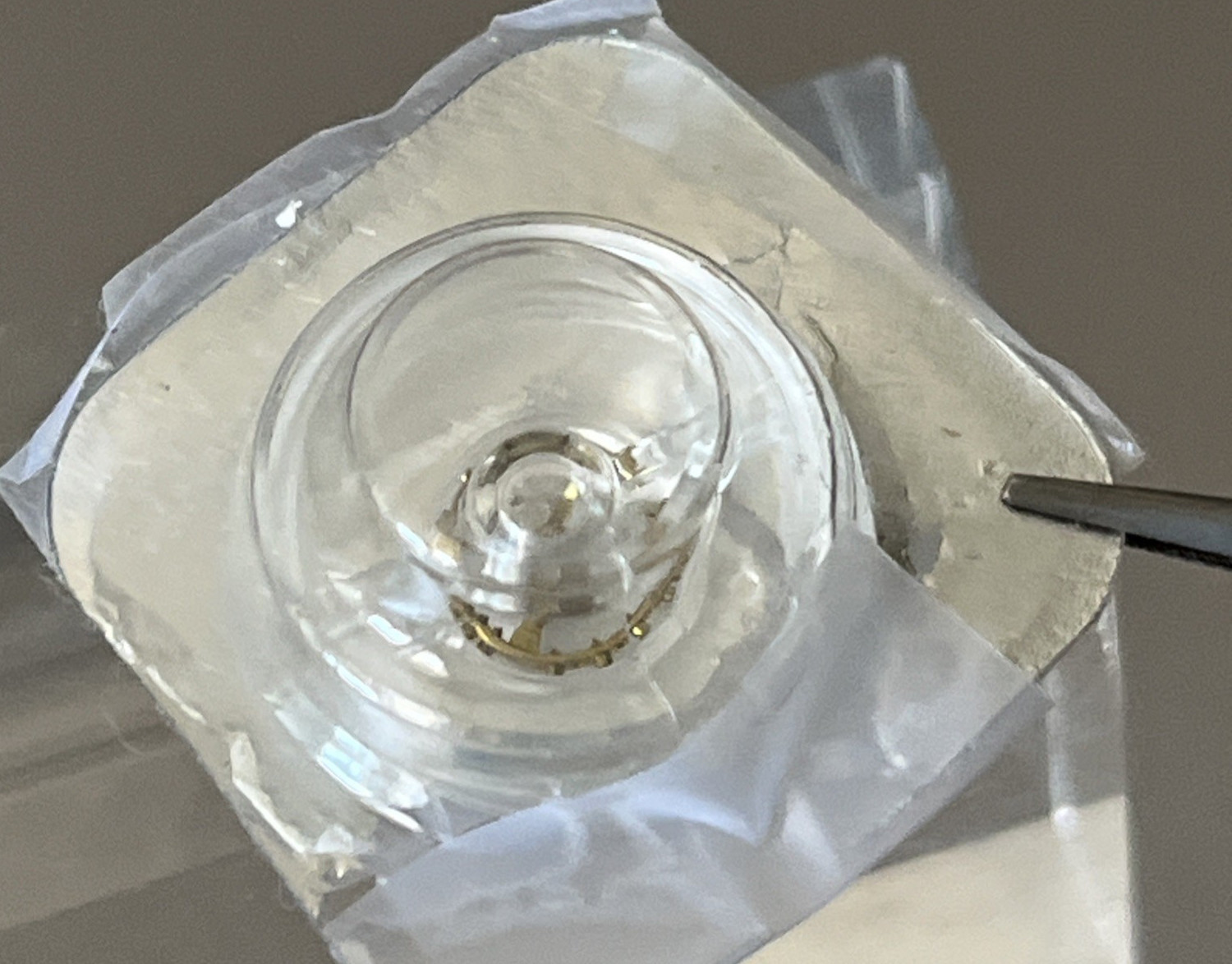 Bulova Watch Part Balance Wheel 54 Group 3 cal 5 AH Genuine Opened Packet Unused