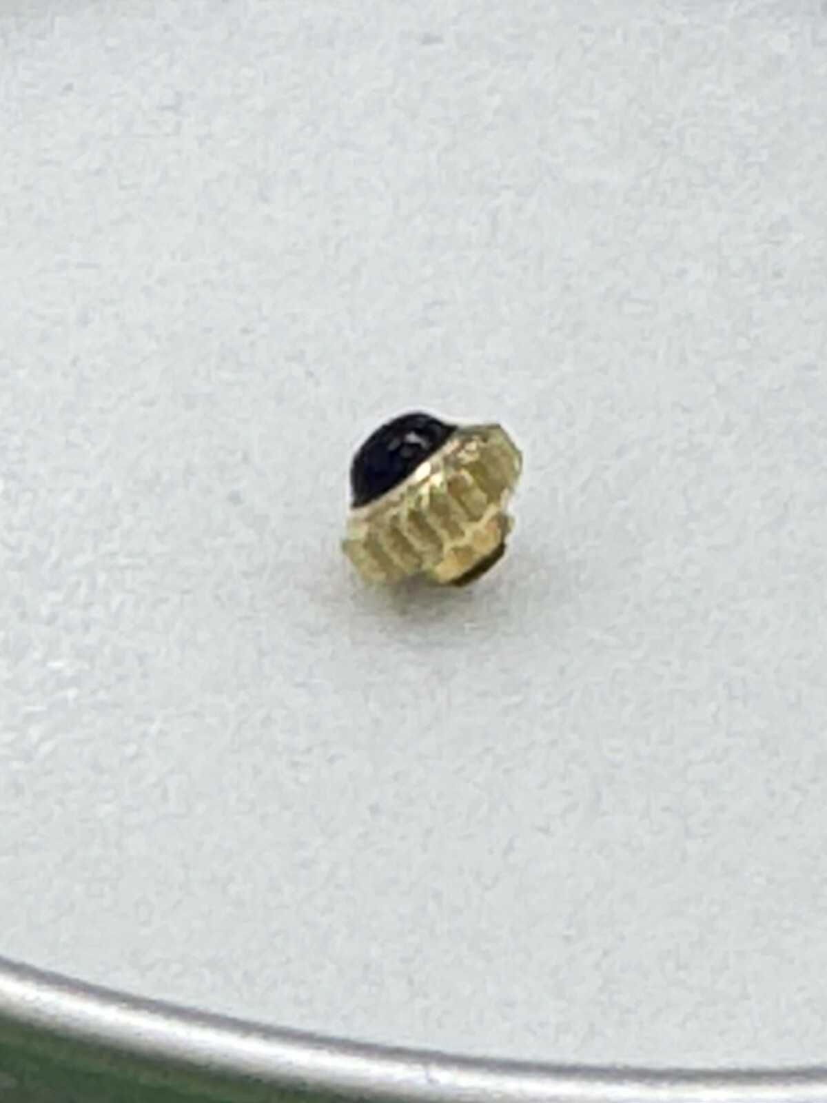 Cartier Blue Cabochon 4mm Yellow Crown Manual Wind Dust Proof