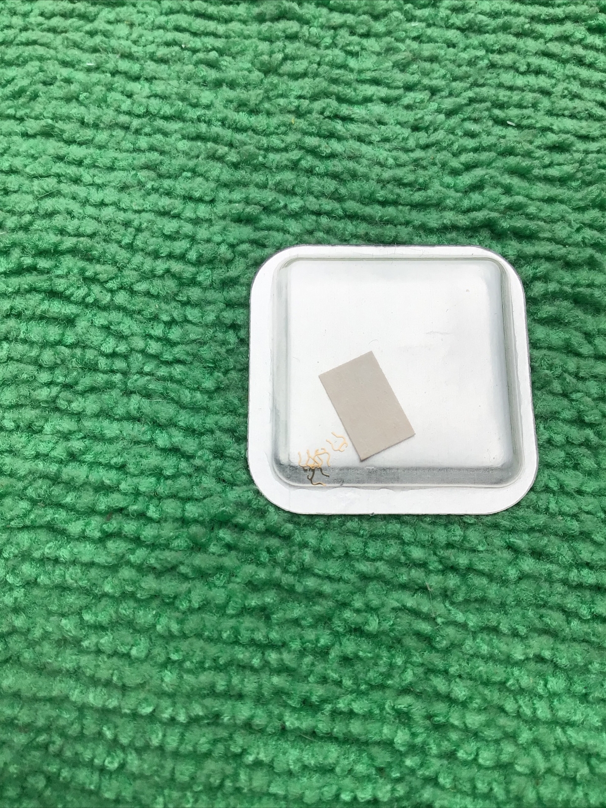 Genuine Rolex 3035 95019-4 Shock Spring Watch Part (1pc)