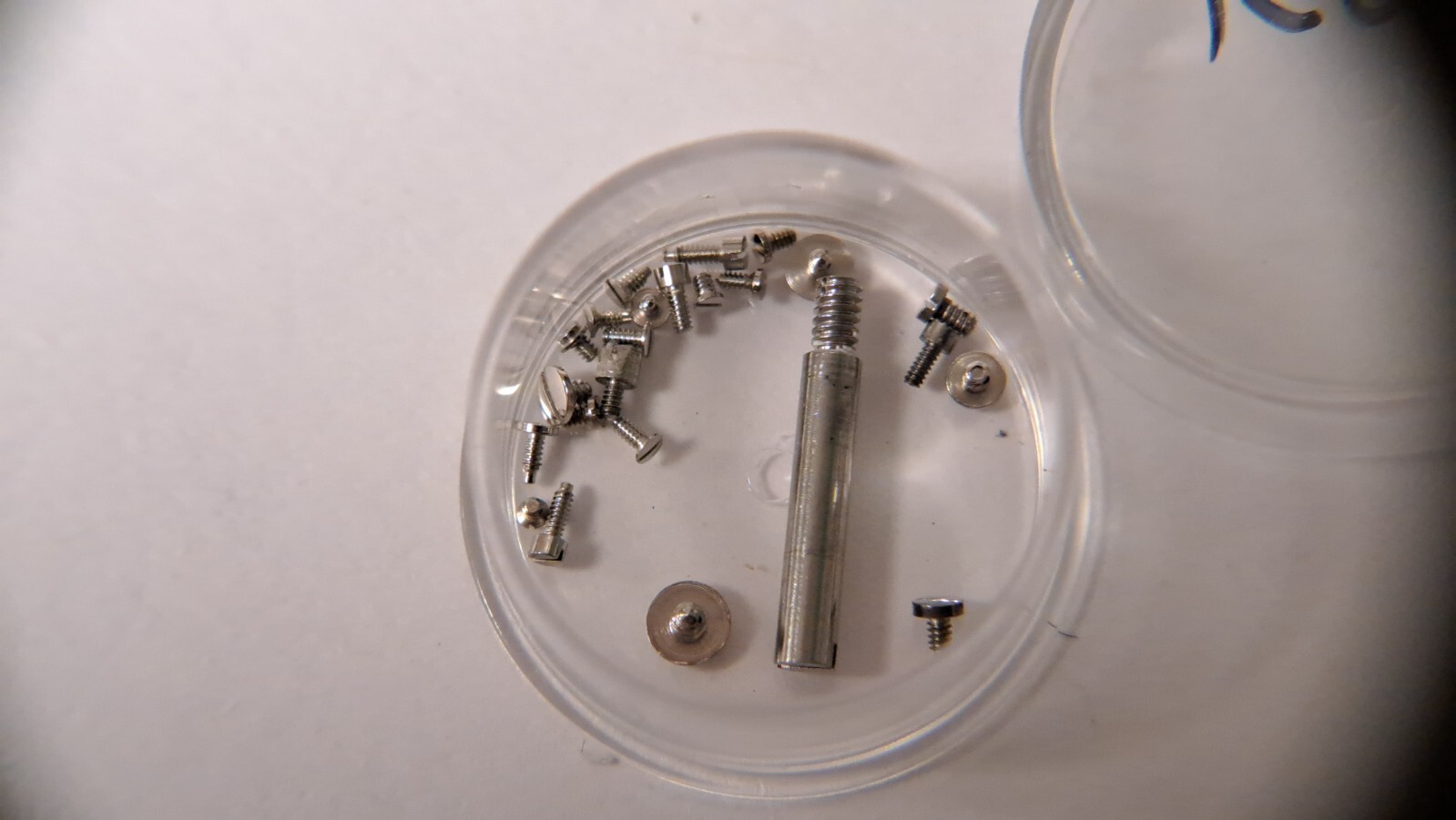 Genuine Rolex screws pins assortment for 1 price. all for 1 price. unknown calib