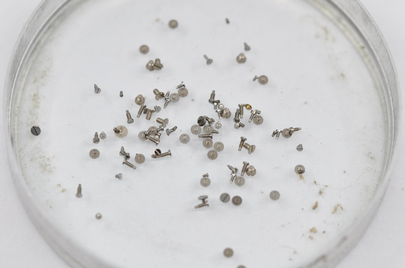 lot of omega screws for movement 640 650