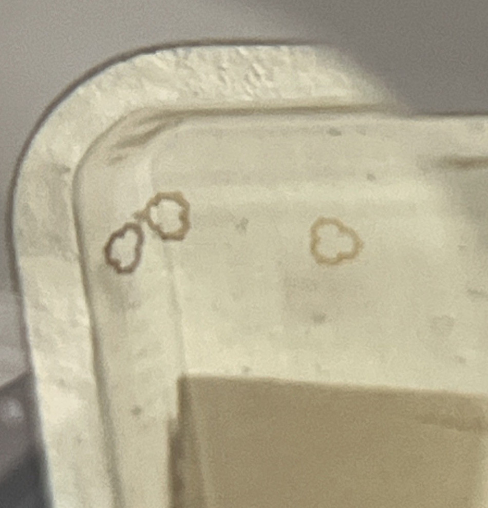 Bulova Watch Movement Part 111F – 112F Upper & Lower Shock Spring cal 6 OA 3 pcs