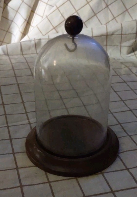 3″ X 4″ Pocket Watch Glass Dome Display With Hook & Wood Knob