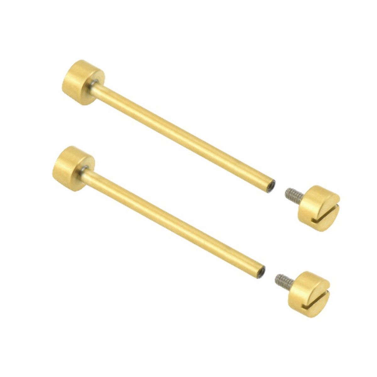 32MM TUBE & SCREW PIN FOR INVICTA SUBAQUA NOMA 1 V 18997 WATCH STRAP BAND GOLD