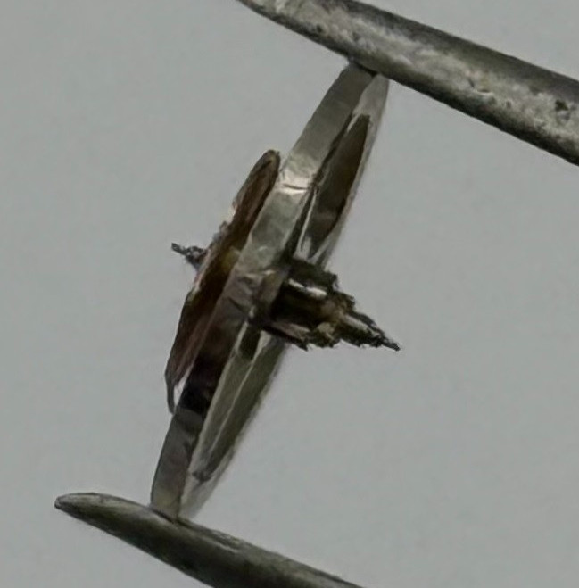 OC 1 Balance Wheel Complete And Spring 8¾’’’ Renata 1533 Watch Movement Parts