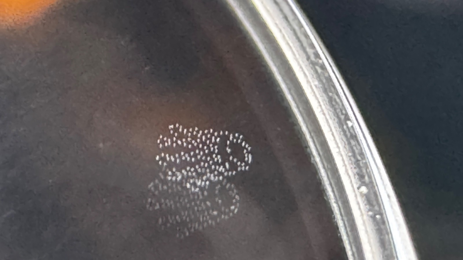 Genuine Rolex Watch Crystal 30.3mm 1.8mm AR Cyclops LEC w/ Gasket 25-295 CAR