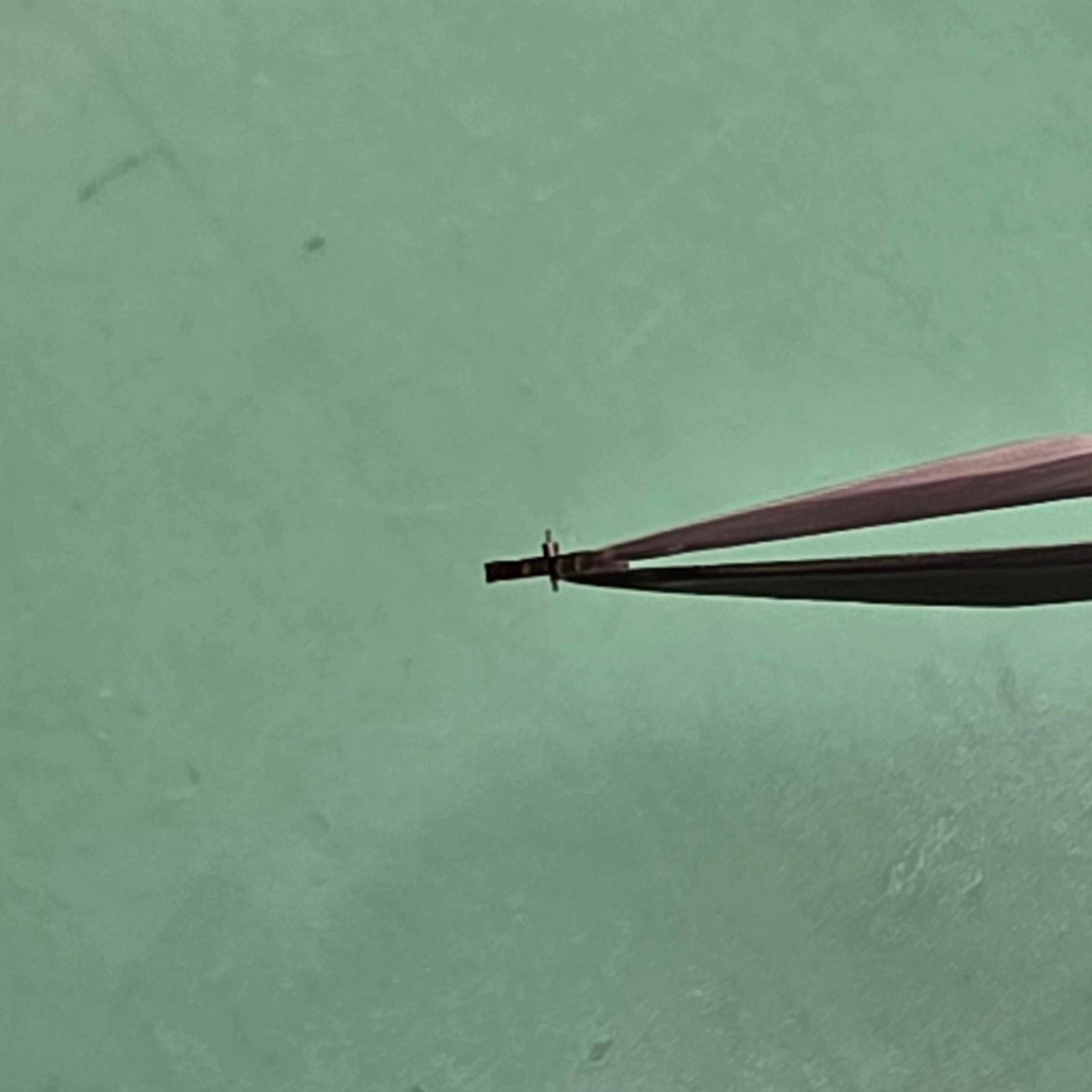 Pallet Fork Elgin 6/0s 7j Grade 431 Model 2 Original Watch Part /W93
