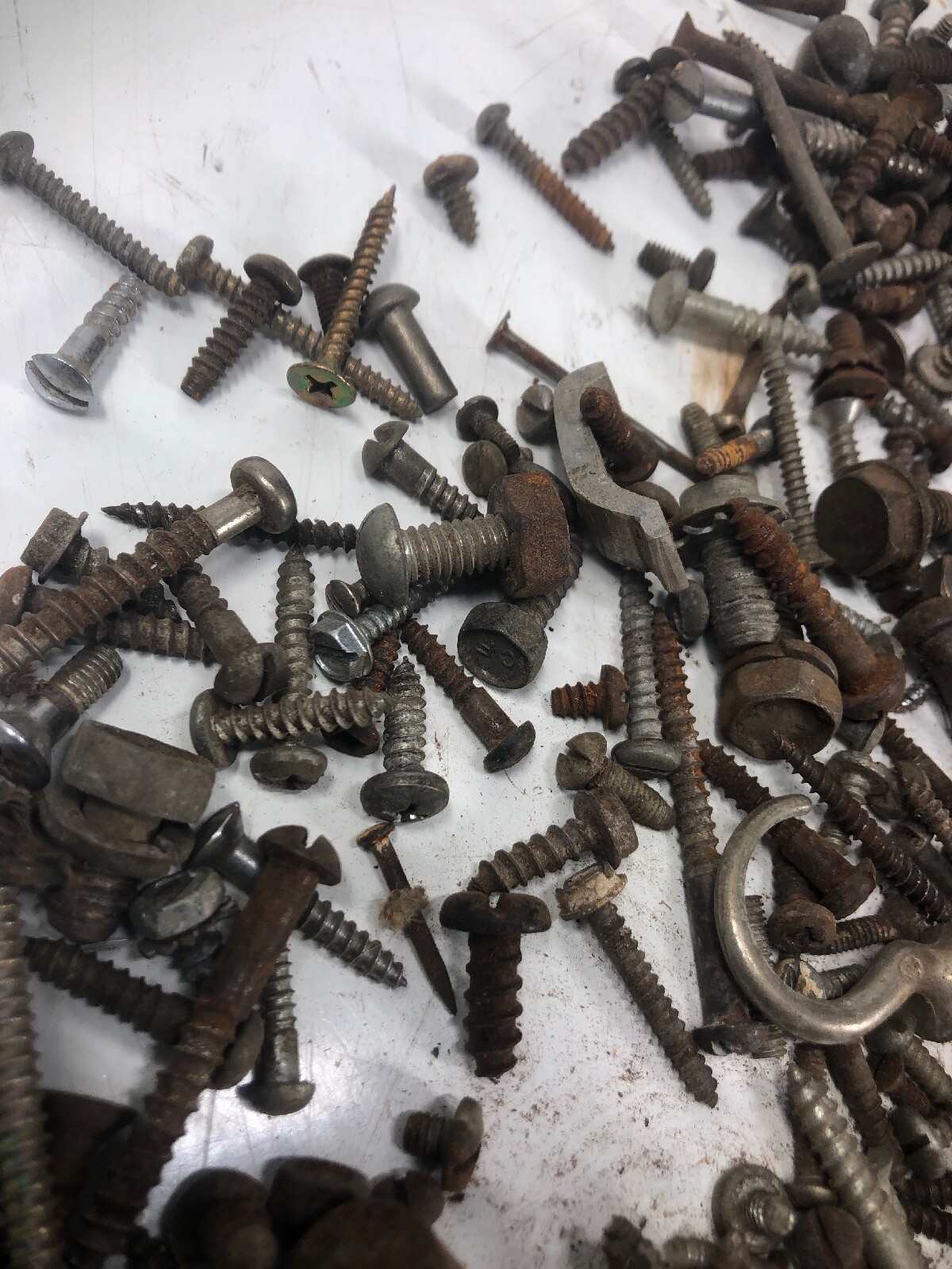5+ Lbs ANTIQUE AND VINTAGE SCREWS, Fasteners Philips Flat Blade Rustic