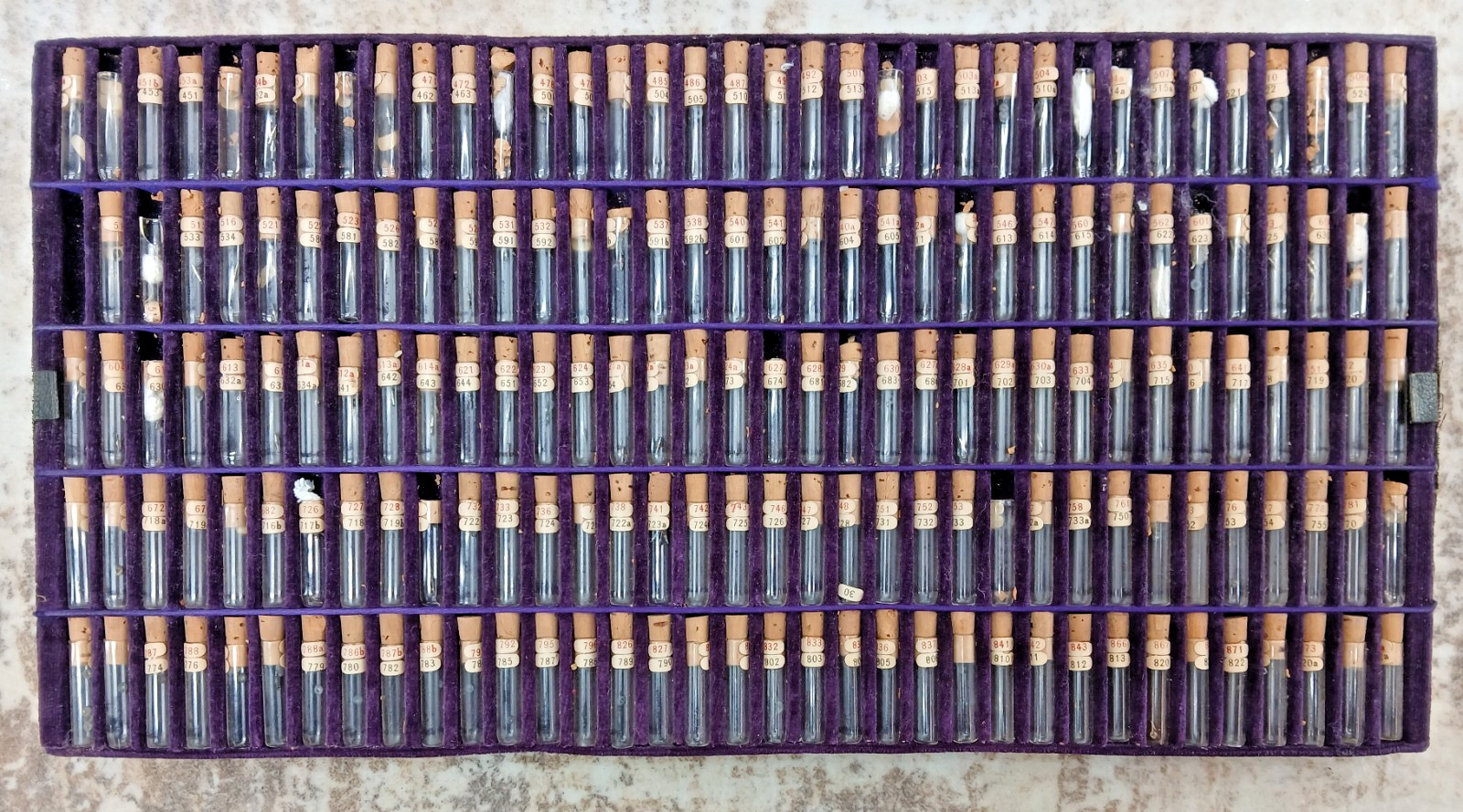 Antique Waltham Horological School Balance Hole Jewels Set *READ*