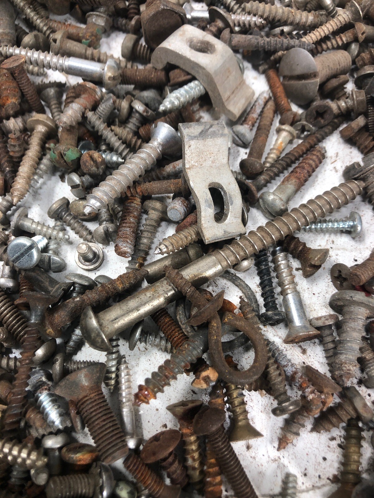 5+ Lbs ANTIQUE AND VINTAGE SCREWS, Fasteners Philips Flat Blade Rustic