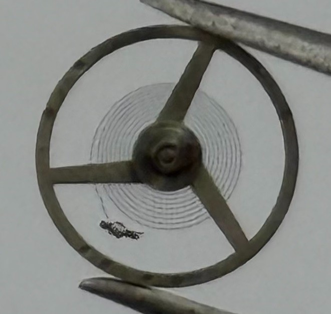 AS 1677 Inca Balance Wheel Complete And Spring Watch Movement Parts NOS