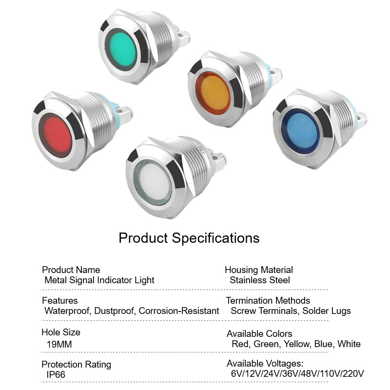 19mm Stainless Steel LED Panel Mount Signal Lamp 24V IP66 Rated Industrial Grade