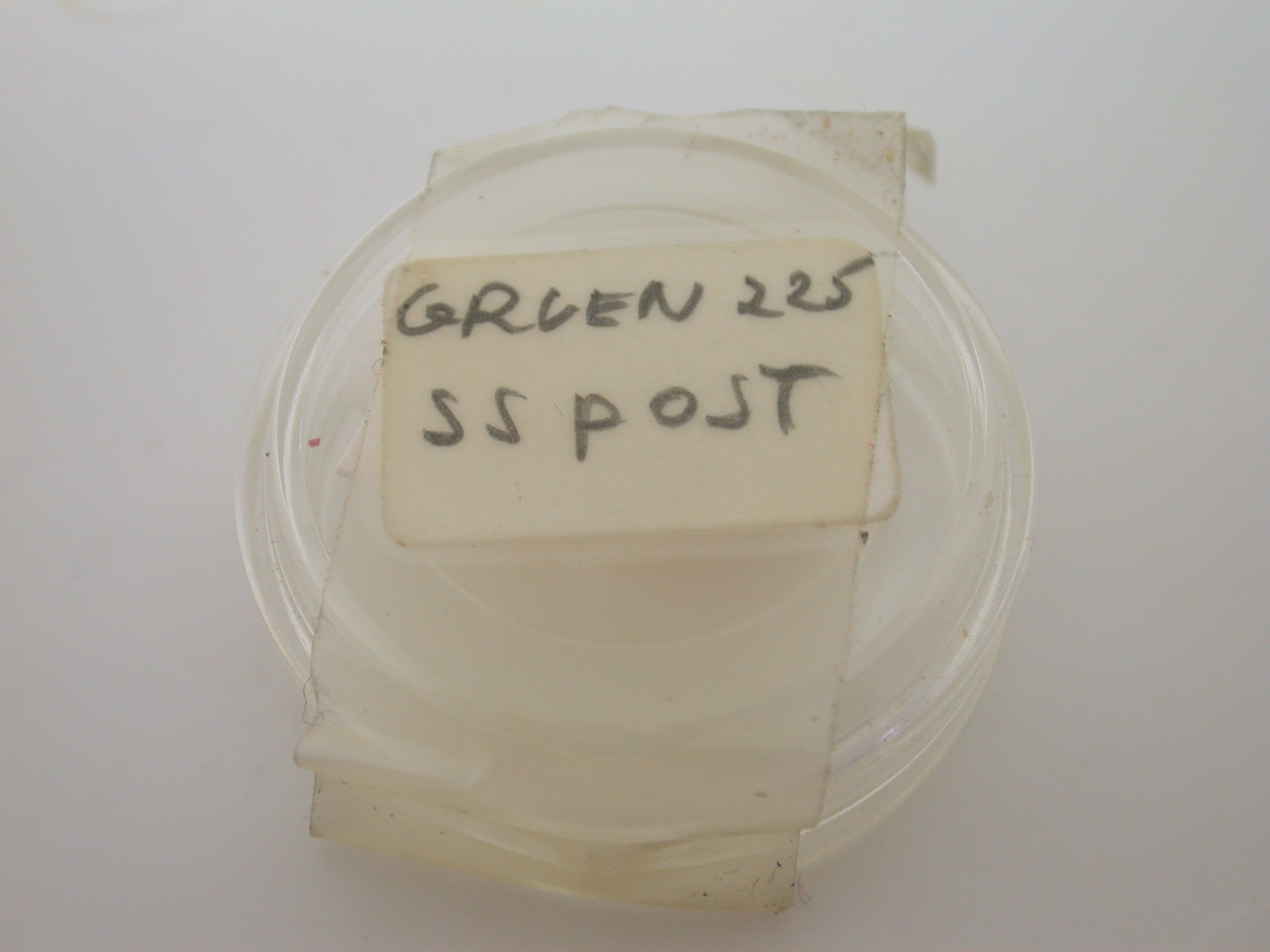 WATCHMAKERS – GRUEN CAL 225 CENTER SECONDS PINION (2) – 33MR34