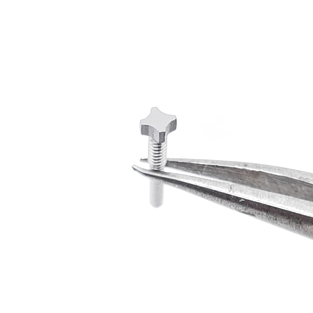 5 PCS 4 Star Silver Steel Screw L8.62 H2.12 to 2.62 For Richard Mille Watch Case