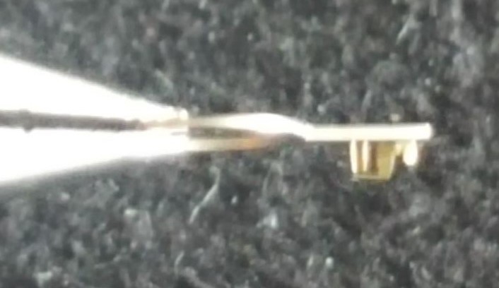 Omega Caliber 700 (Piguet 99) Part Number 1334 (Regulator)
