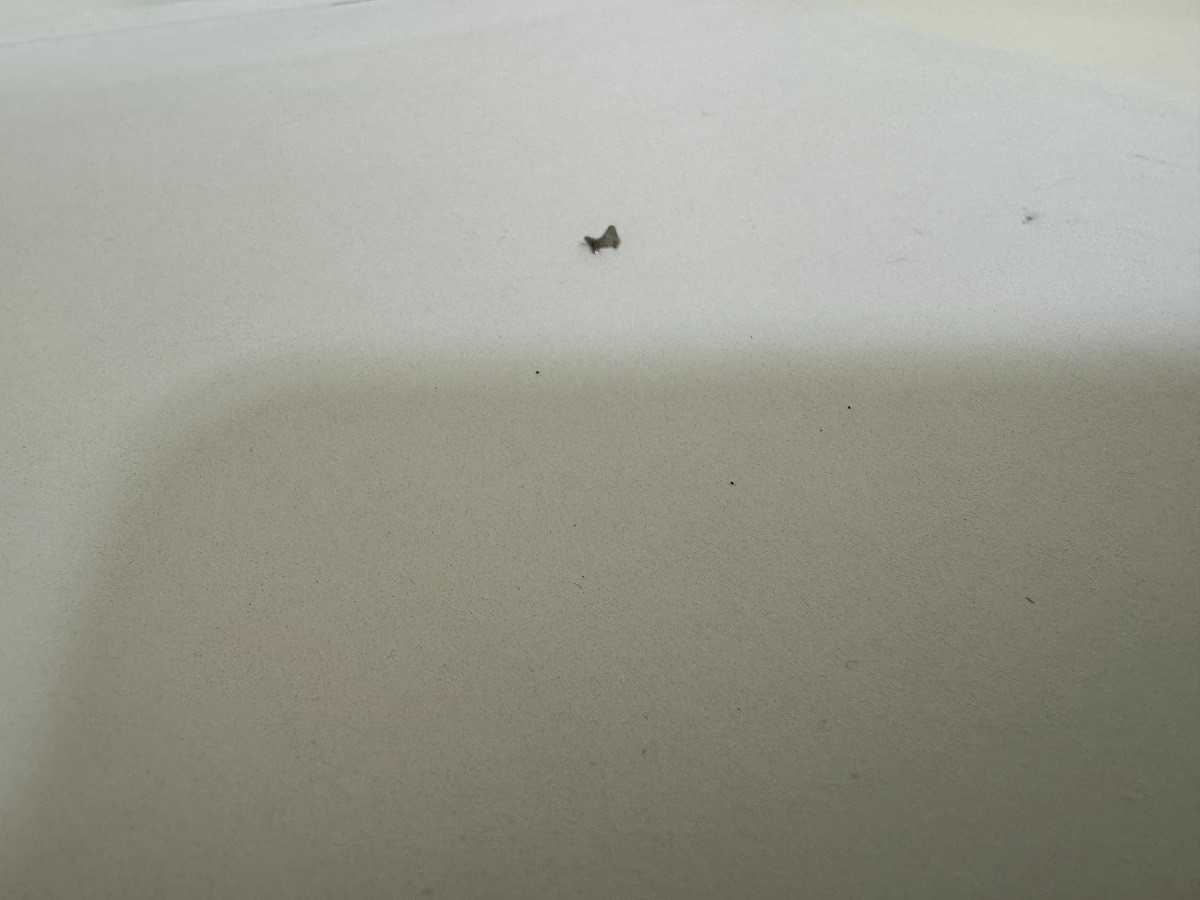 GENUINE Rolex 2230 220 Setting Lever/ Detent For Non Date Movement