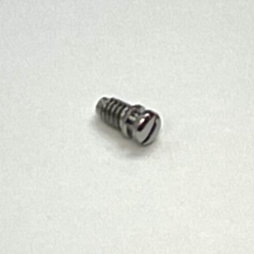 OEM PANERAI Lug Screw for Radiomir 42mm Steel (OP66xx) or 45mm Steel MX002TT8